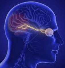 Face aux traumatismes, EMDR ou Kinésiologie ?