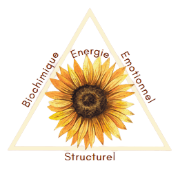 Kinésiologie Mayalen Aguerre