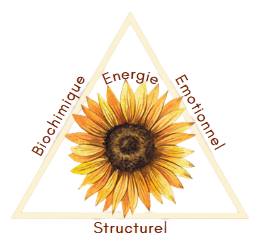 Logo de Mayalen Aguerre kinésiologue à Toulouse Kinésiologie Toulouse, Balma, Saint Orens, Labège, Quint-Fonsegrives, Ramonville, Castanet, Flourens, Escalquens, L'Union.